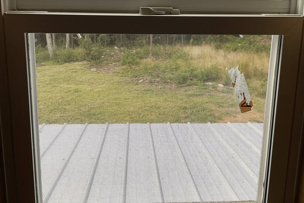 Photo of Bedroom in Mentone