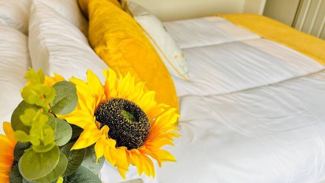 Photo of Others in Boston Spa