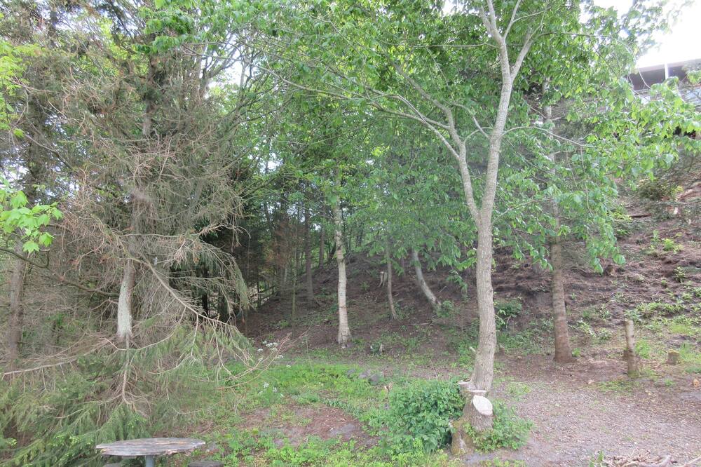 Photo of Outdoor in Sallingsund