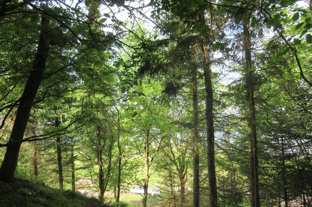 Photo of Outdoor in Sallingsund