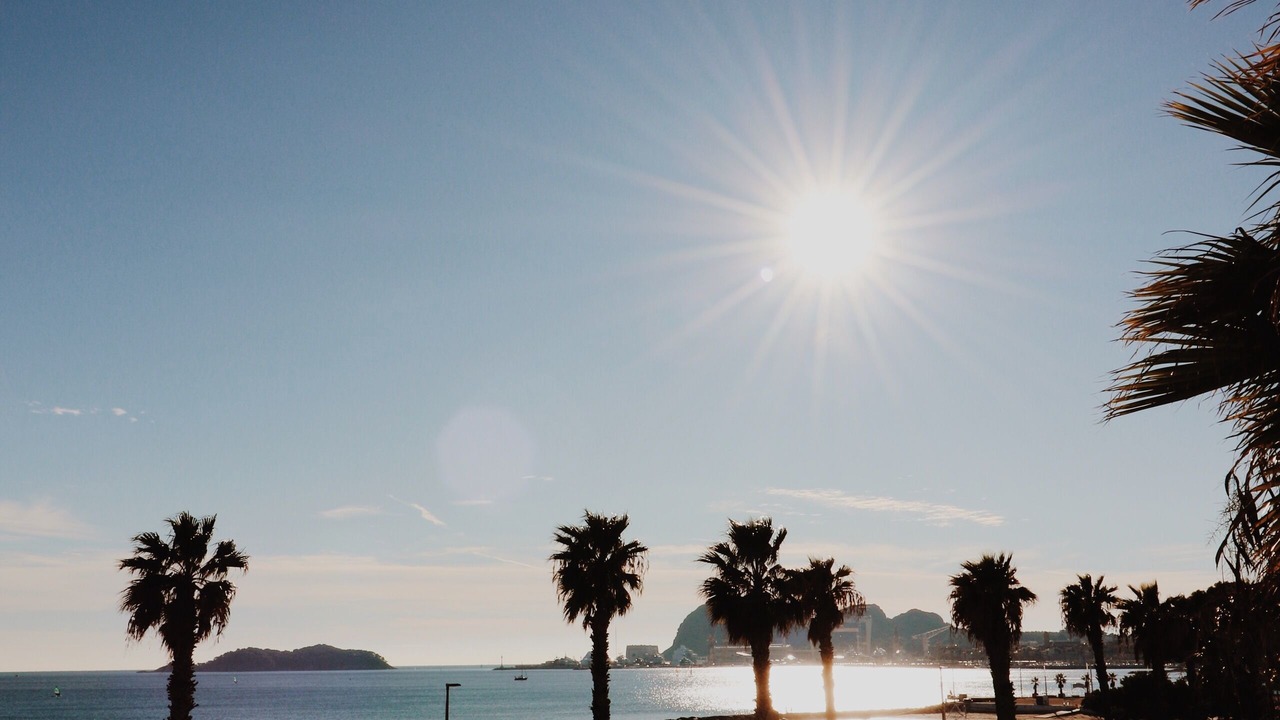 Photo of Others in La Ciotat