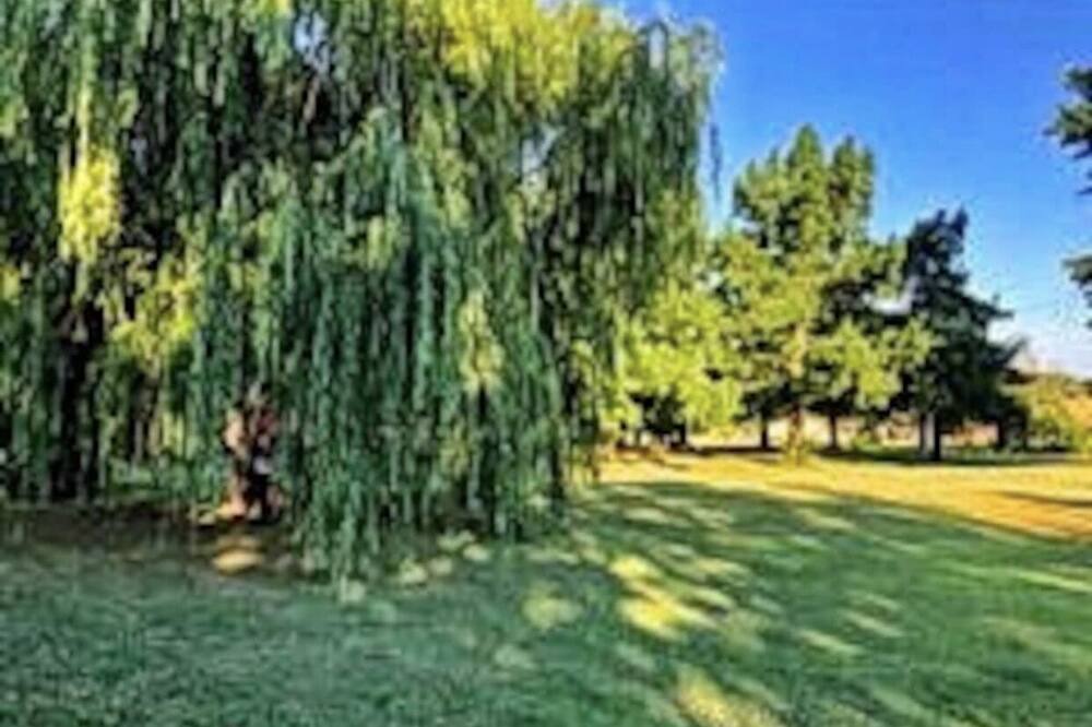 Photo of Outdoor in Wheatland