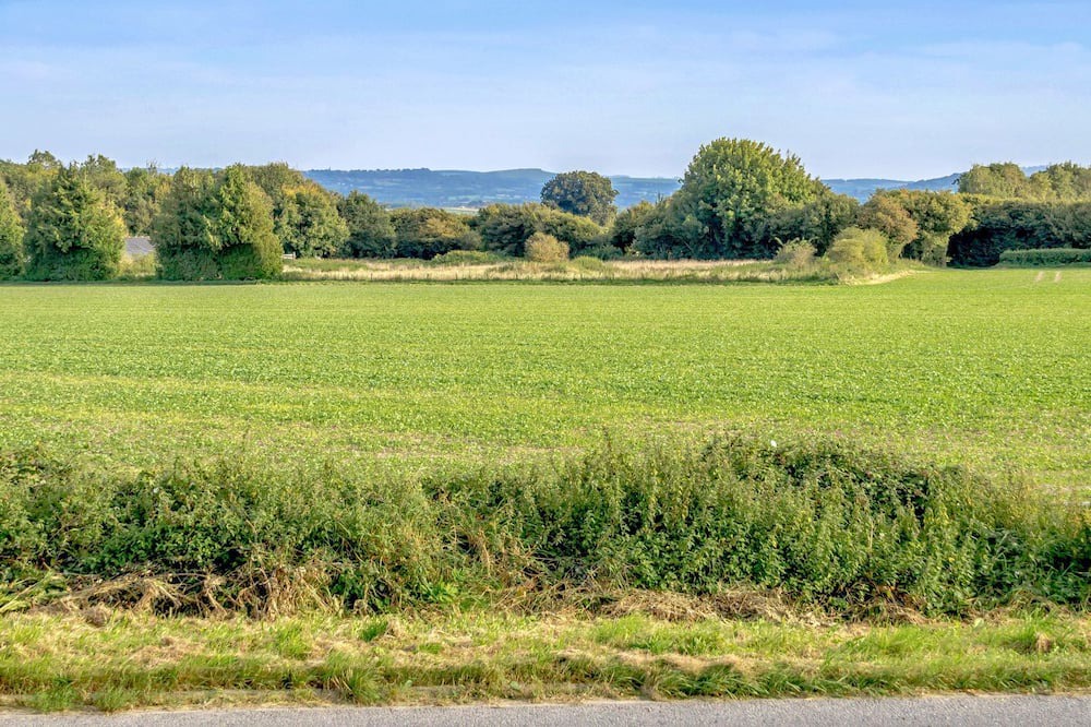 Photo of Outdoor in Zeals