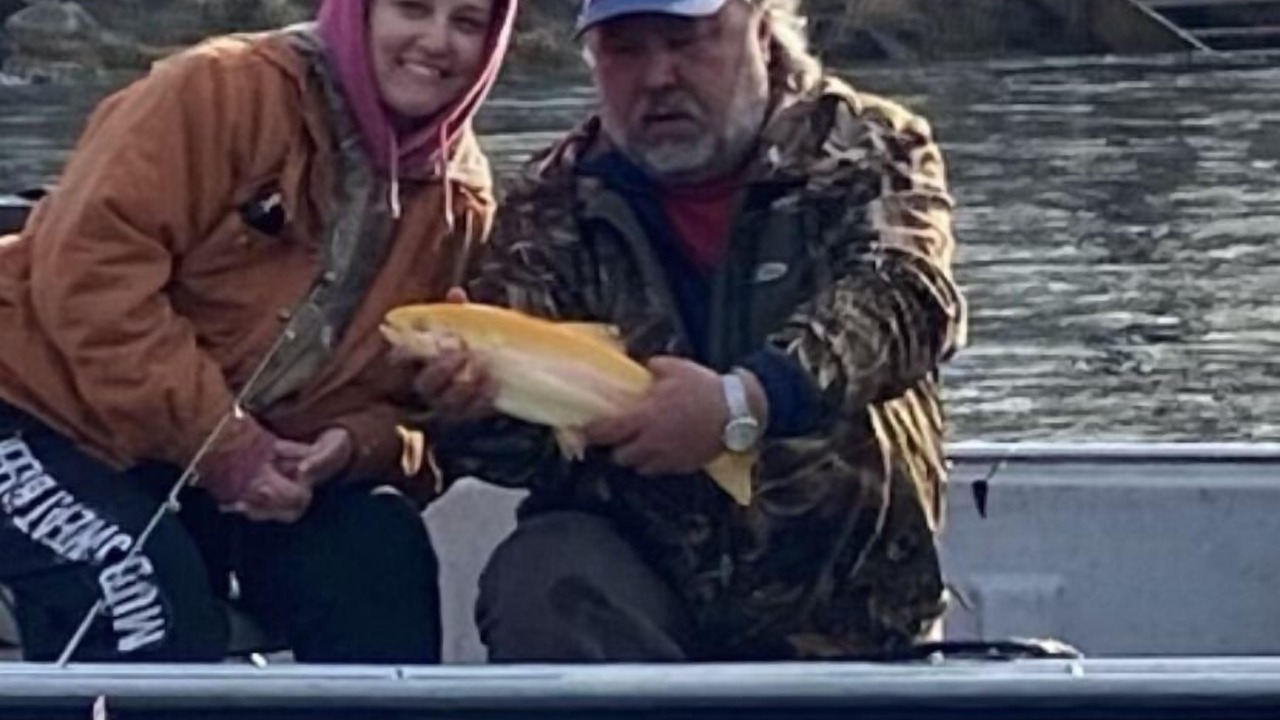 Photo of Others in Gassville