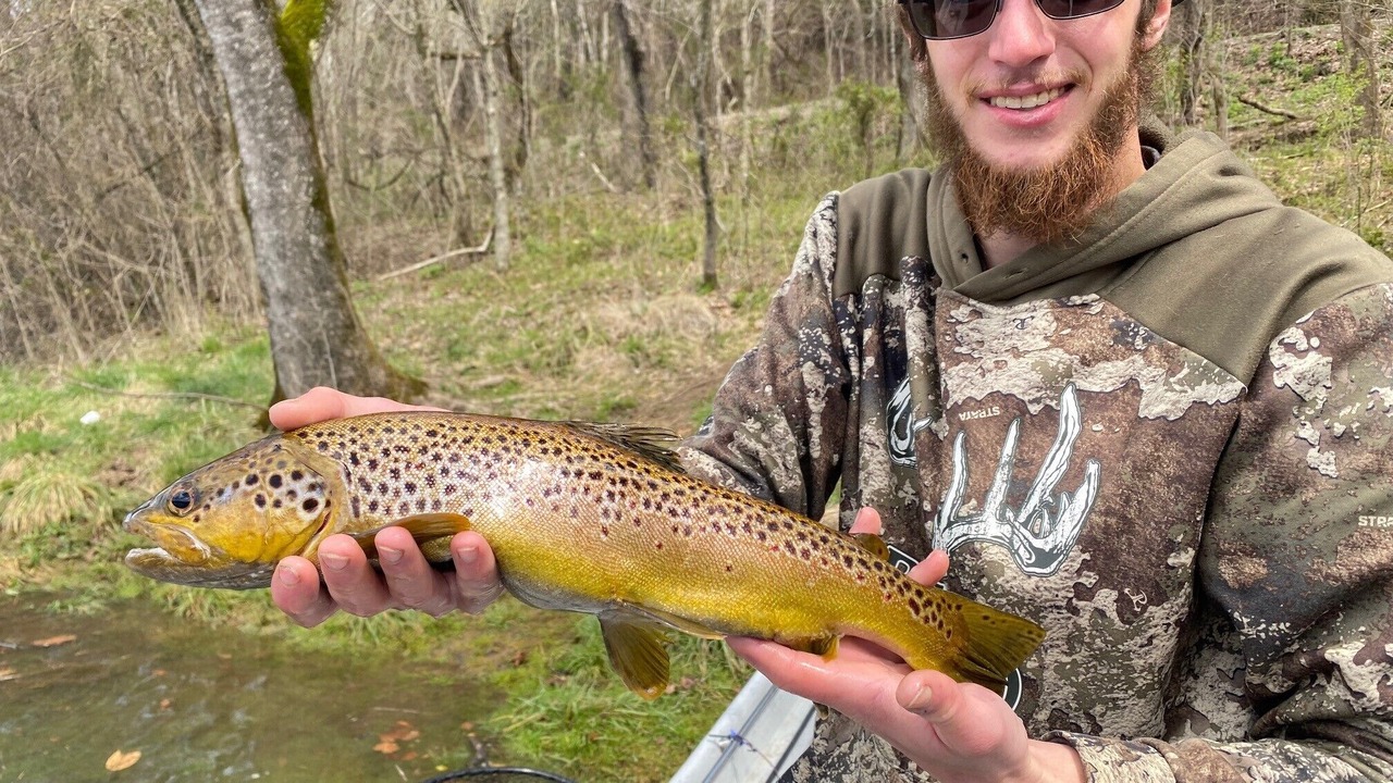 Photo of Outdoor in Gassville