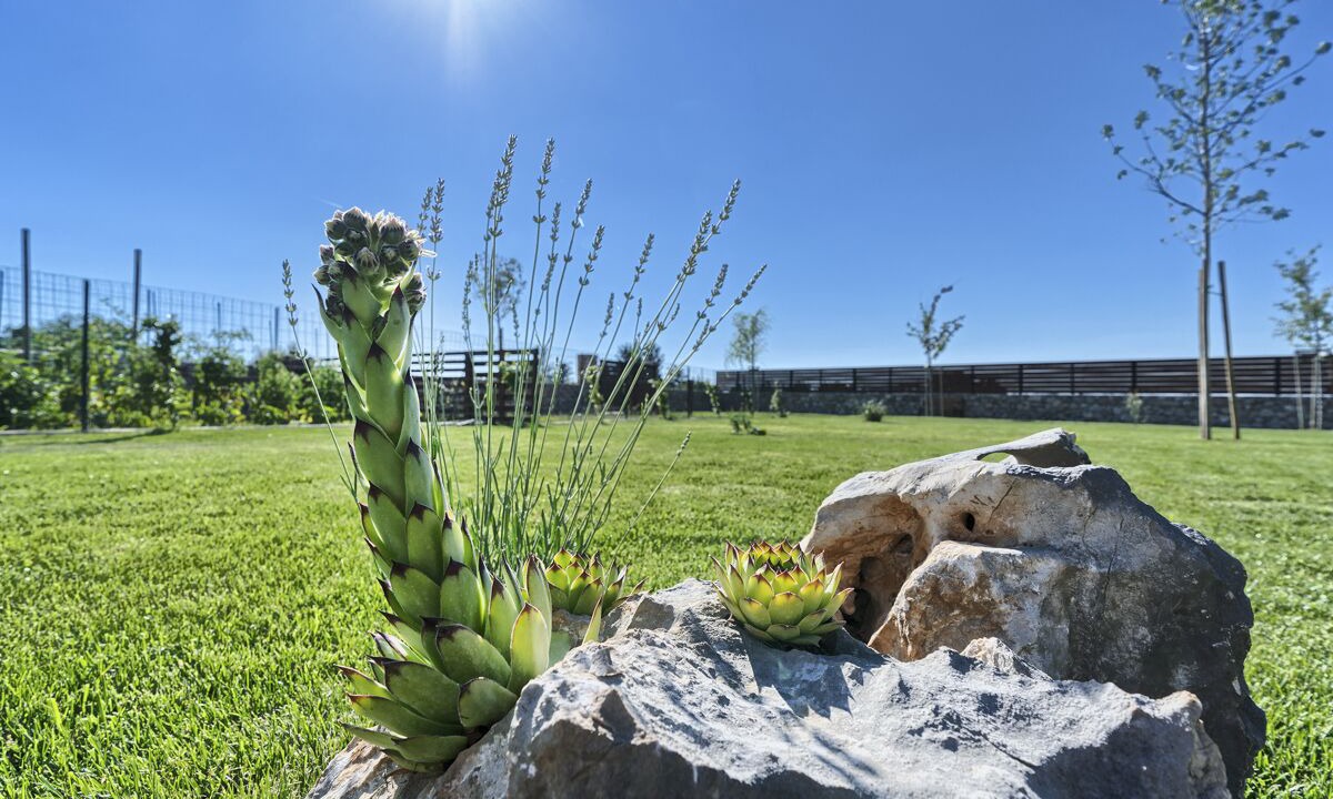 Photo of Outdoor in Sibenik