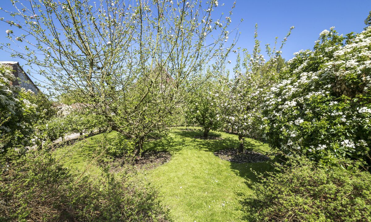 Photo of Outdoor in Campigneulles-les-Petites