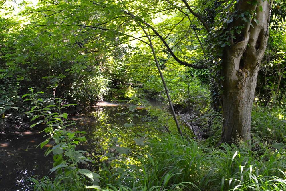 Photo of Outdoor in Wymondham