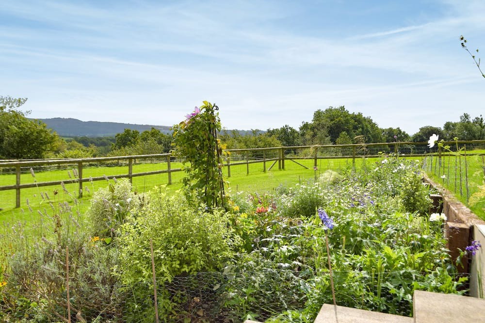 Photo of Outdoor in Pont-ar-gothi