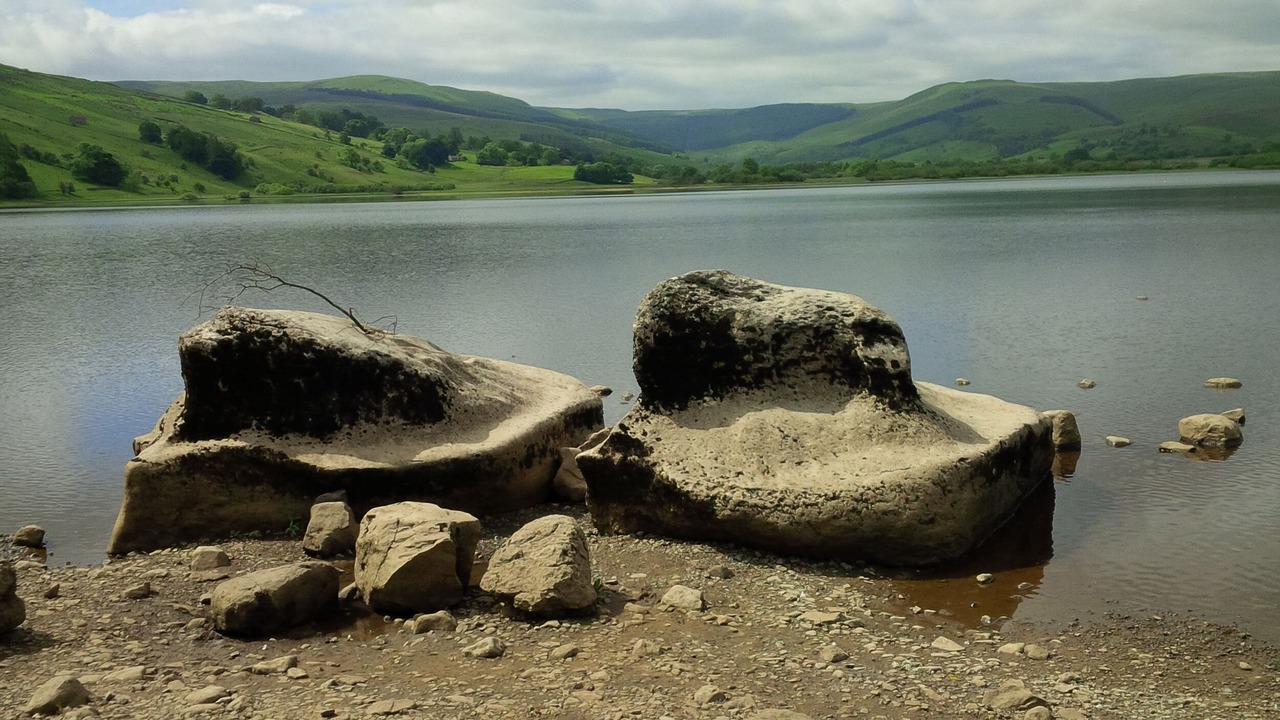 Photo of Others in Bainbridge