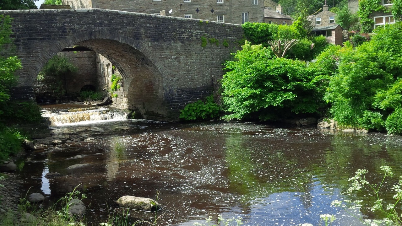 Photo of Others in Bainbridge