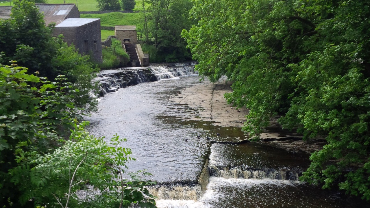 Photo of Others in Bainbridge