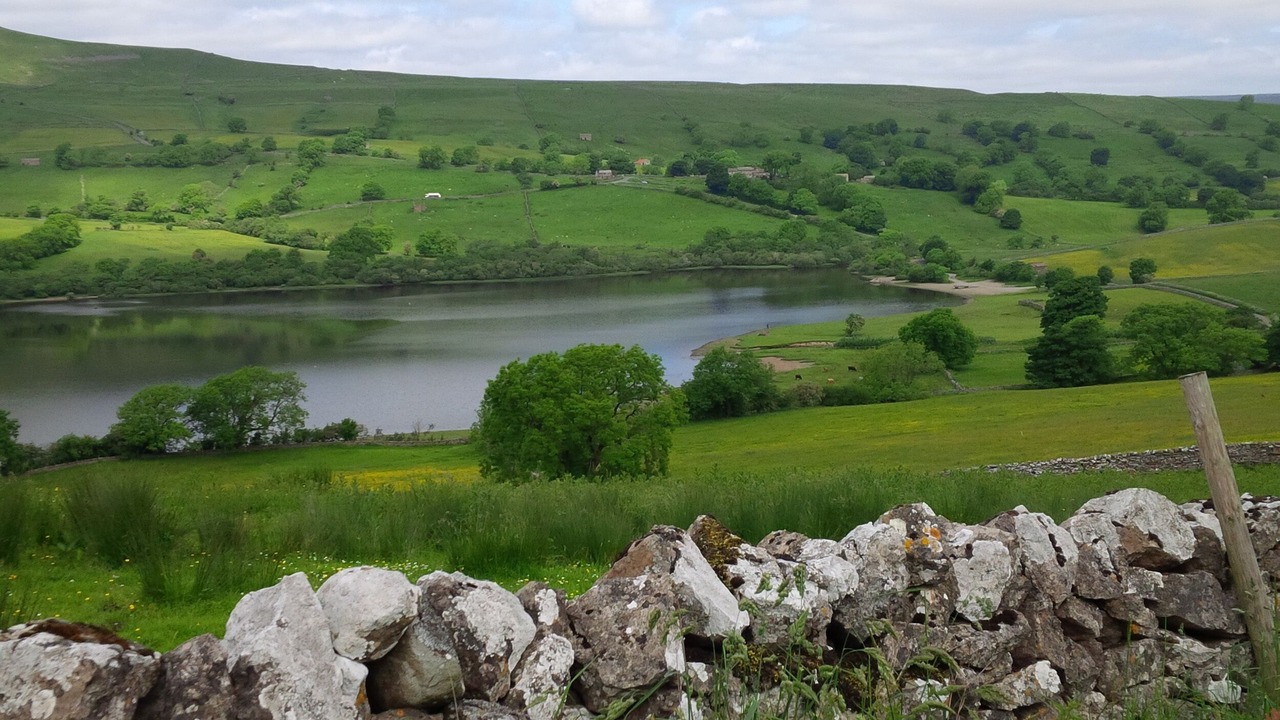 Photo of Others in Bainbridge