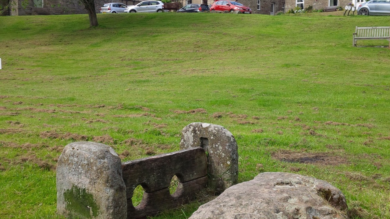 Photo of Others in Bainbridge