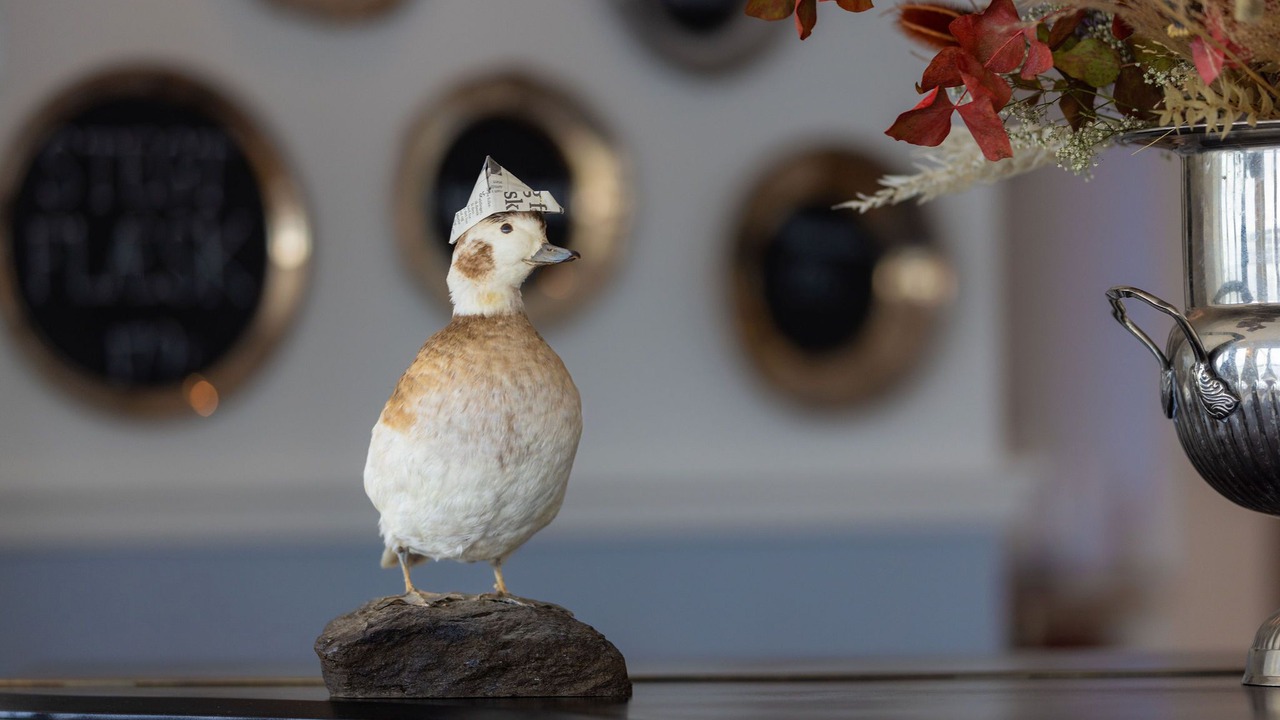 Photo of Others in Holbaek