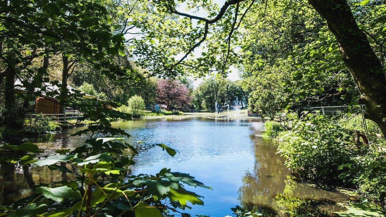 Photo of Outdoor in Llanfaethlu
