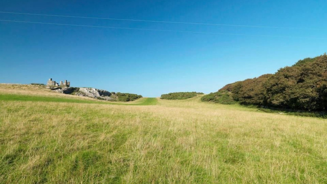 Photo of Others in Llanfaethlu