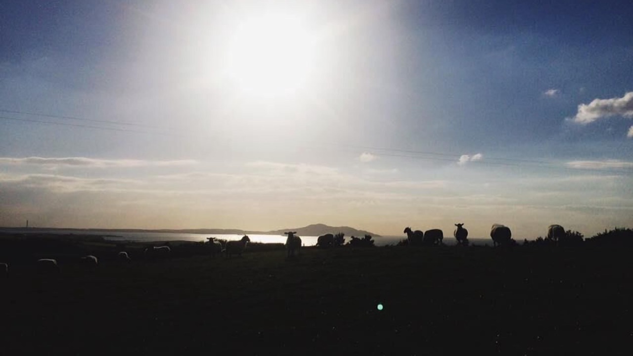 Photo of Others in Llanfaethlu