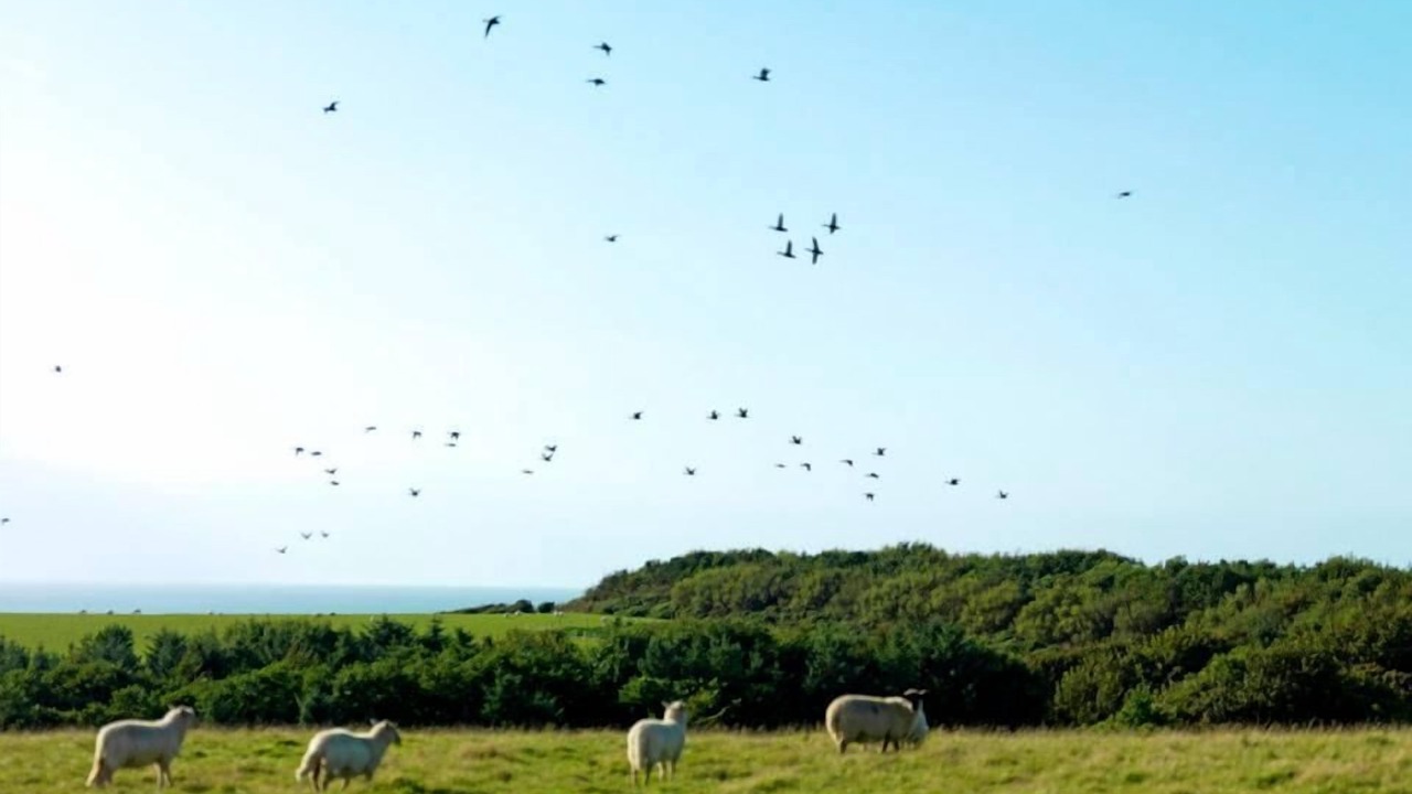 Photo of Outdoor in Llanfaethlu