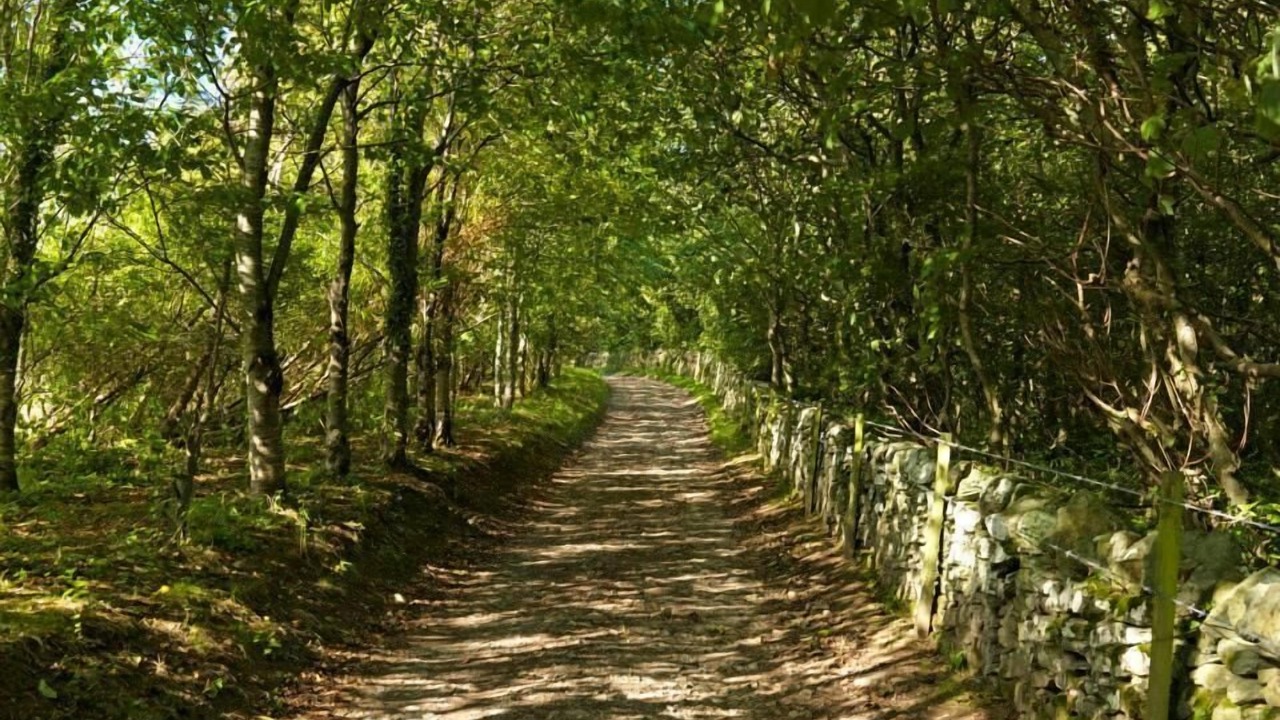 Photo of Outdoor in Llanfaethlu