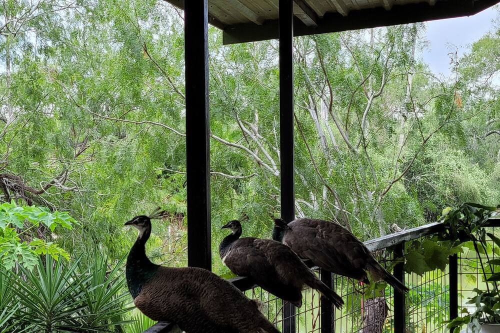 Photo of Outdoor in McAllen