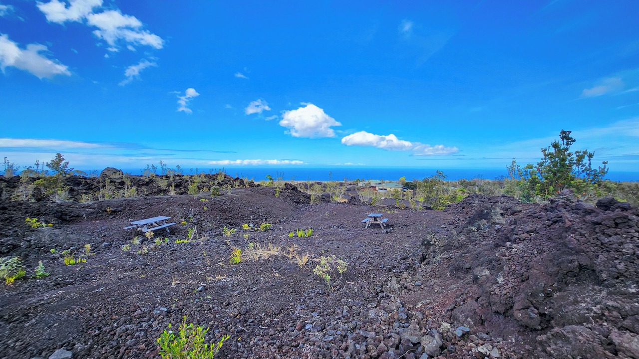 Photo of Outdoor in Ocean View