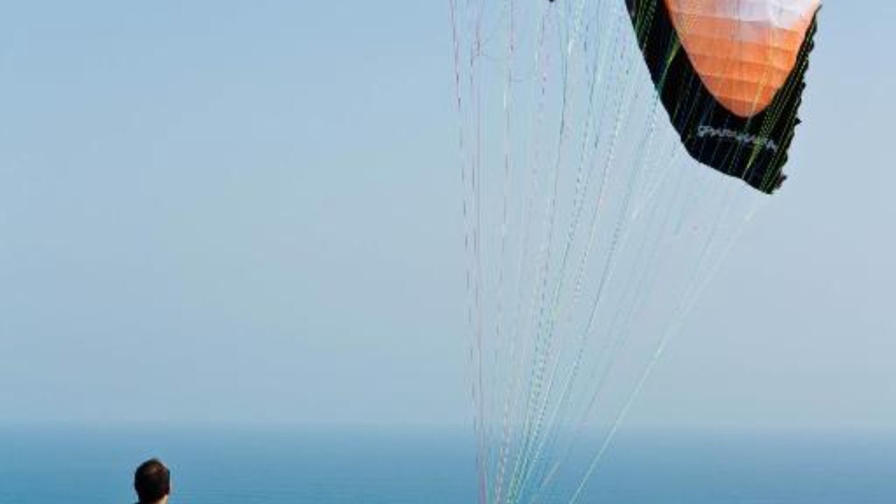 Photo of Others in Ocean View