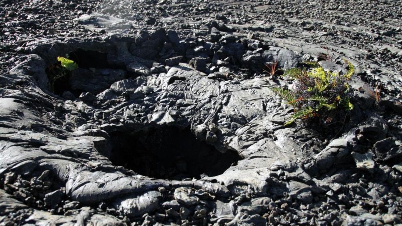 Photo of Outdoor in Ocean View