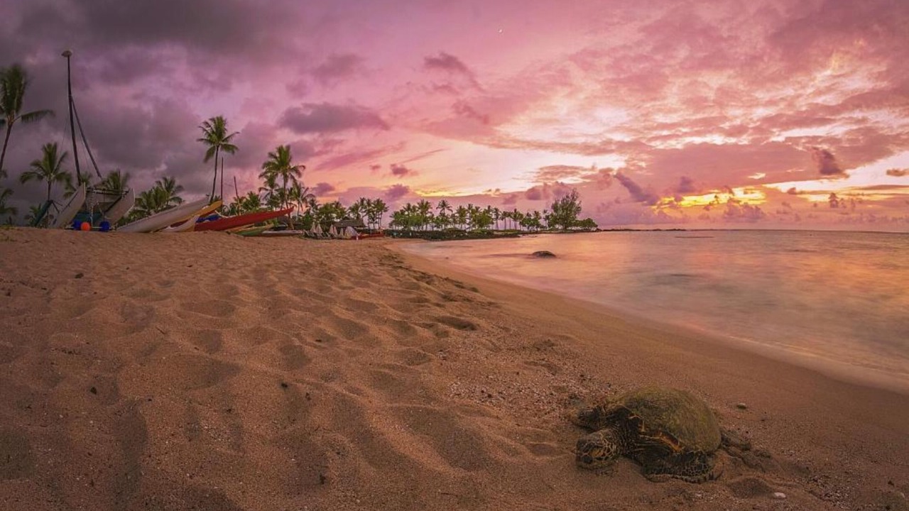 Photo of Outdoor in Ocean View