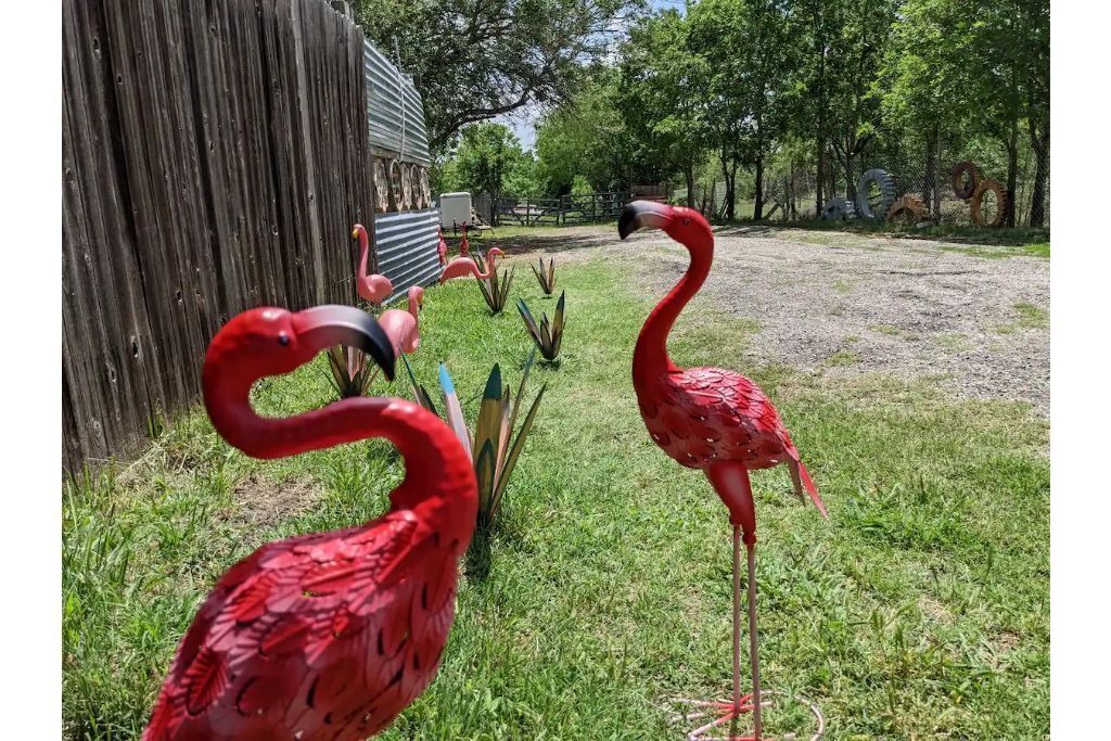 Photo of Outdoor in Travis County
