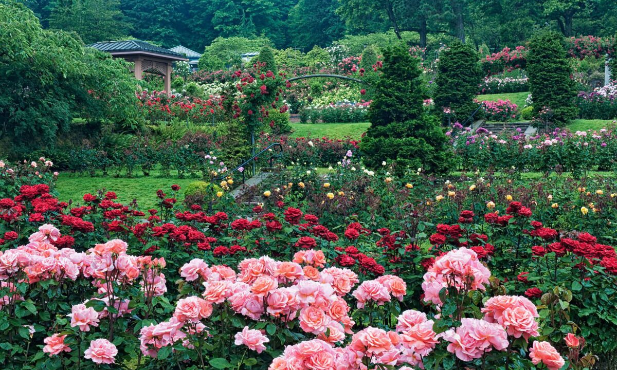 Photo of Outdoor in Downtown Portland