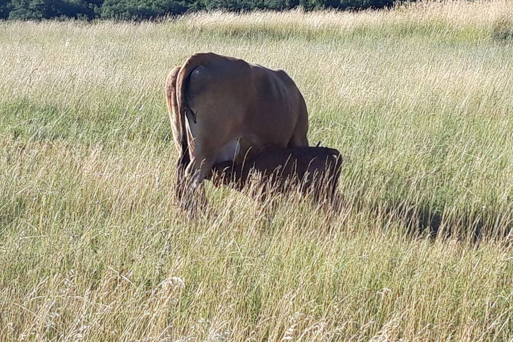 Photo of Outdoor in Villar-en-Val