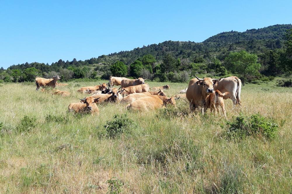 Photo of Outdoor in Villar-en-Val