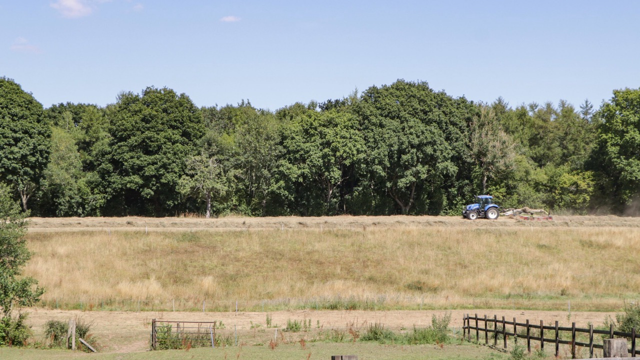 Photo of Others in Ross-on-Wye