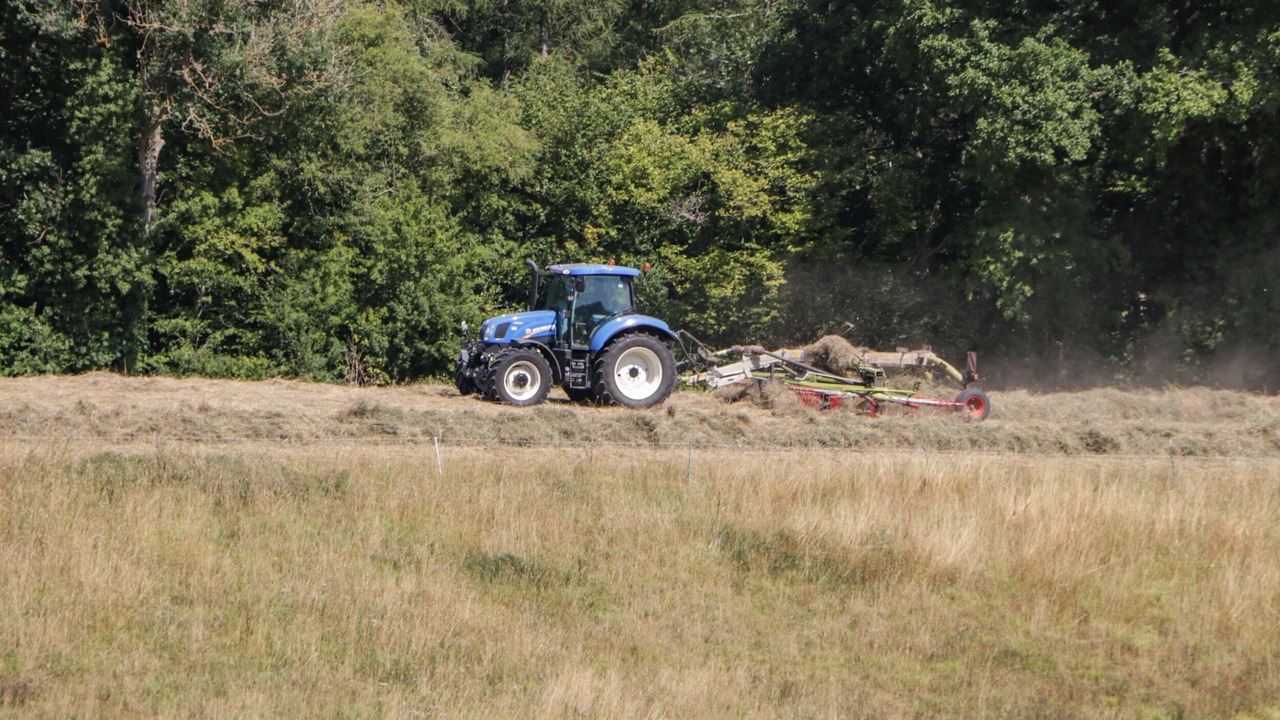 Photo of Others in Ross-on-Wye