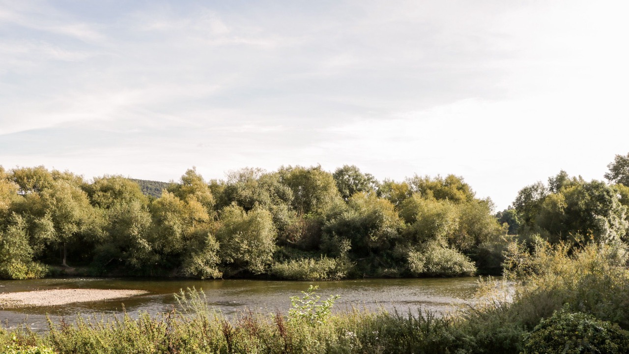 Photo of Others in Ross-on-Wye