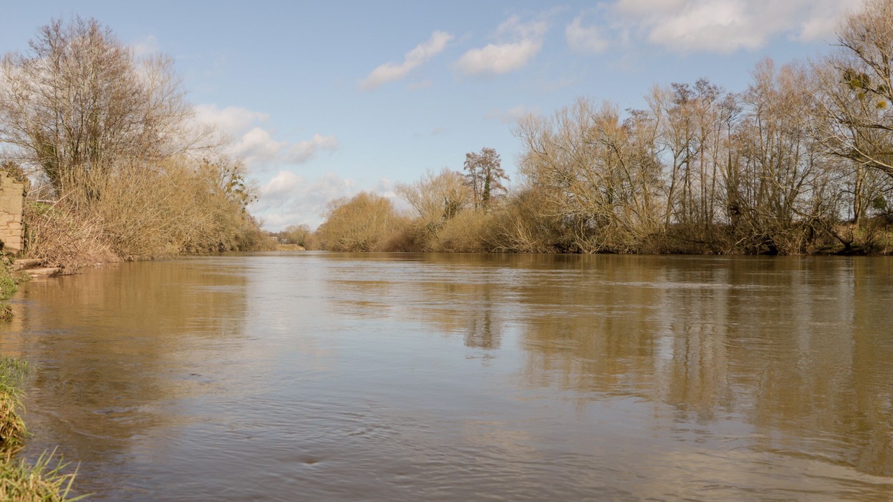 Photo of Others in Ross-on-Wye