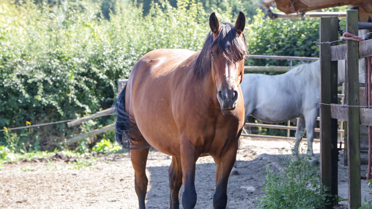 Photo of Others in Ross-on-Wye