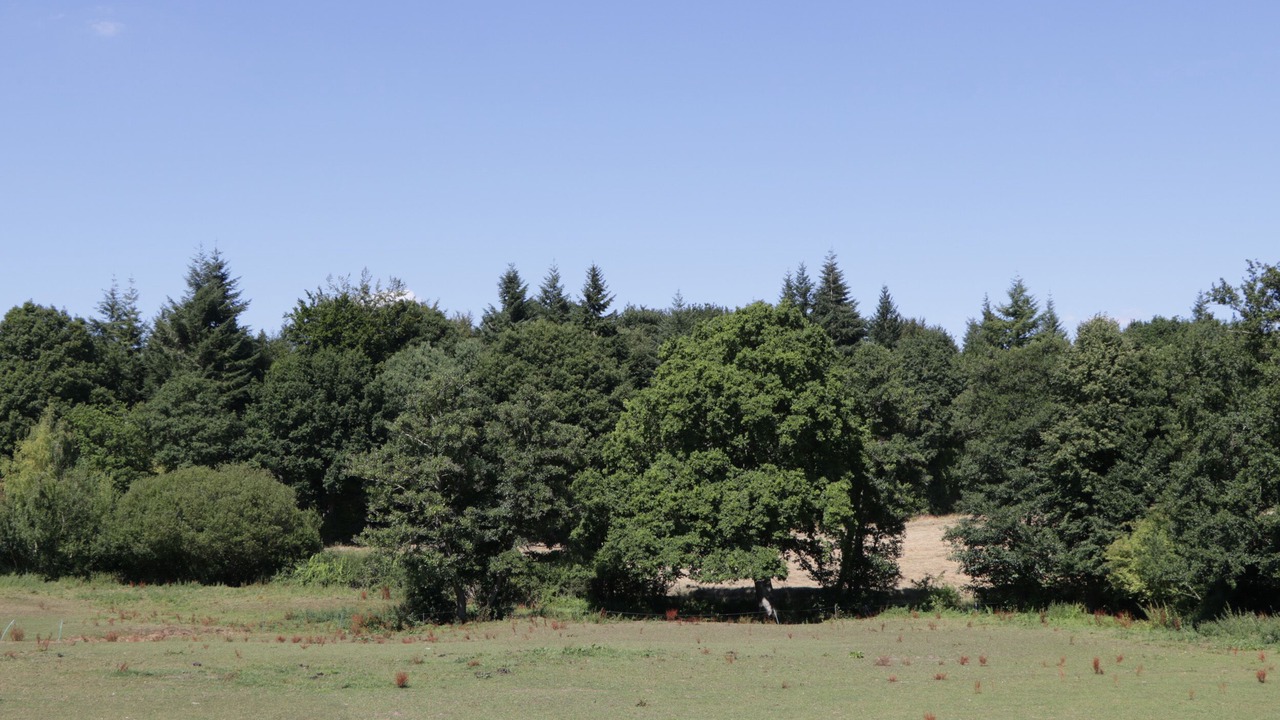 Photo of Others in Ross-on-Wye