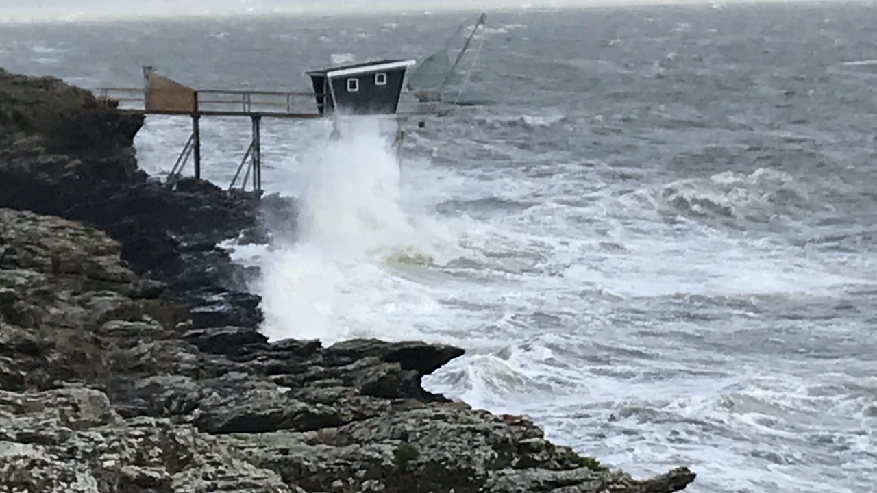 Photo of Others in Loire-Atlantique