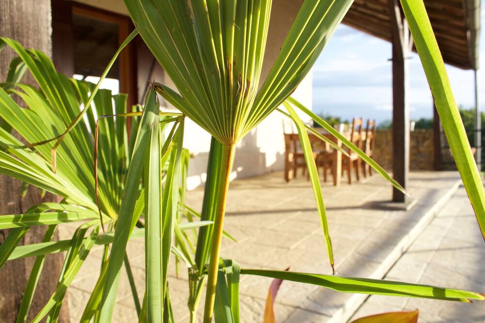 Photo of Patio Balcony in Cazaux-Villecomtal
