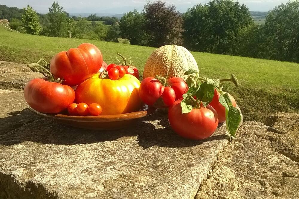 Photo of Others in Cazaux-Villecomtal