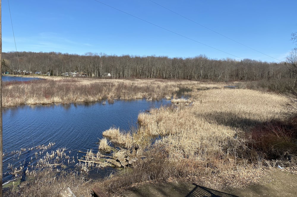 Photo of Others in Wolcott