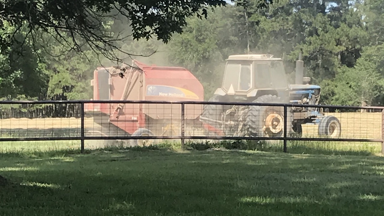 Photo of Outdoor in New Waverly