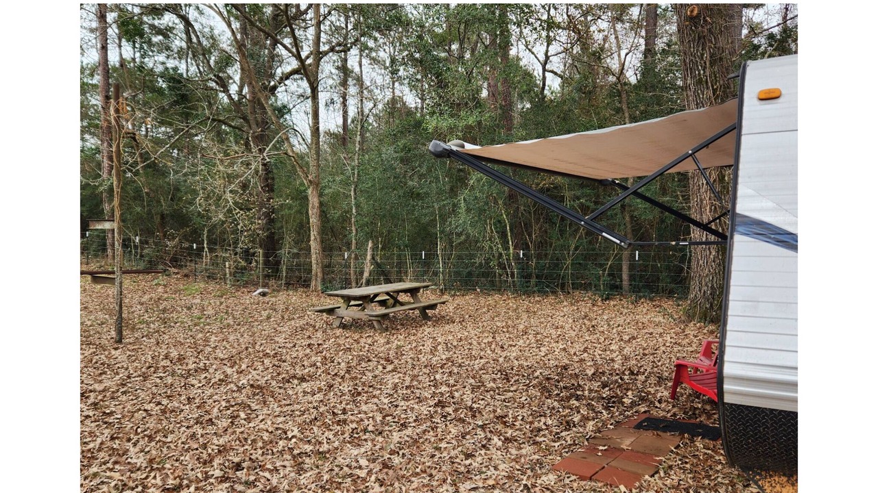 Photo of Outdoor in New Waverly