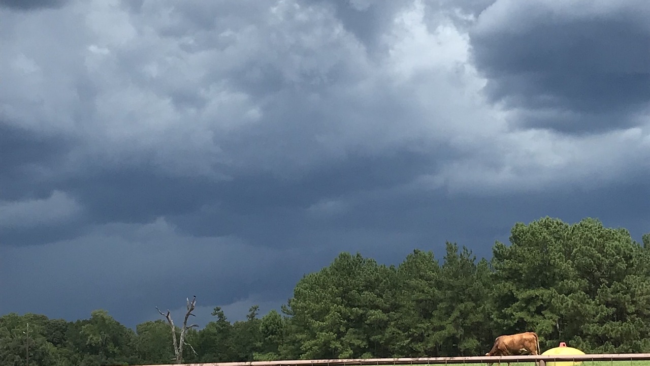 Photo of Others in New Waverly