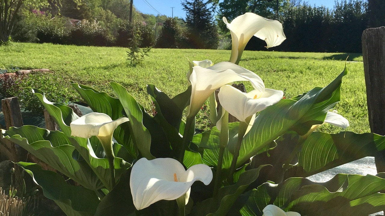 Photo of Outdoor in Saint-Jean-de-Thurac