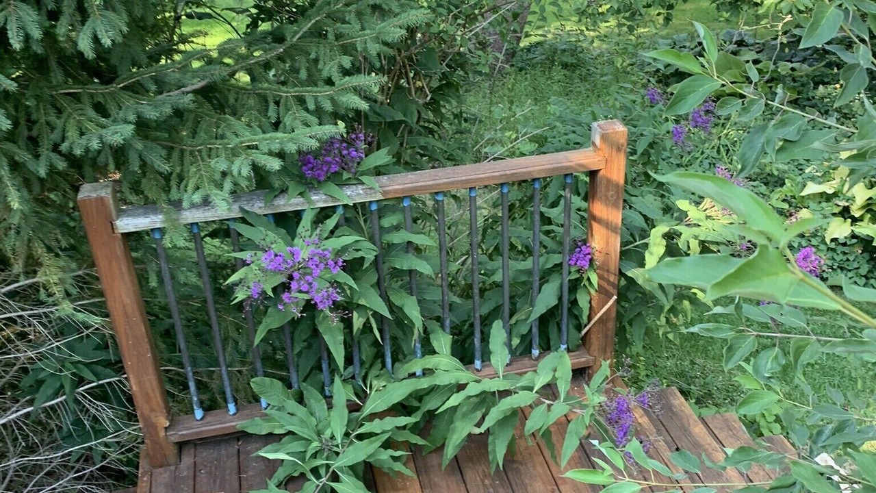 Photo of Outdoor in Macedon