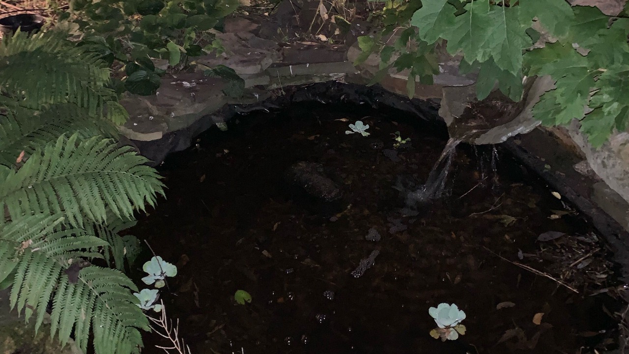 Photo of Outdoor in Macedon