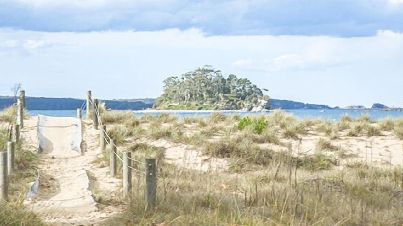 Photo of Others in Batehaven